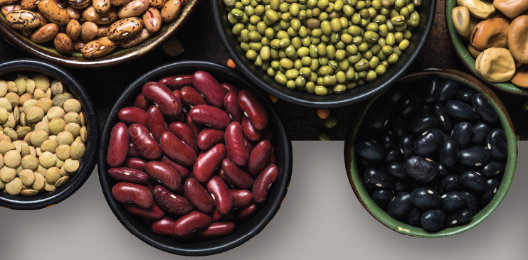 A selection of legumes and beans.