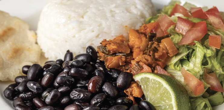 Picture of casado dish